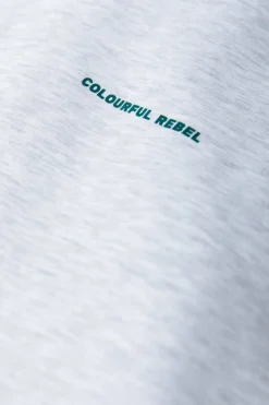 Clearance Abstract Flower Hoodie | Light grey melange Hoodies