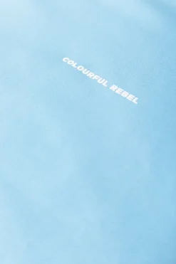 Sale Logo Sweat | Mist Blue Truien