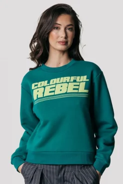 Clearance Puff Logo Sweat | Shady Green Truien