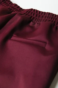 Online Jiby Pintuck Pants | Port Red Broeken