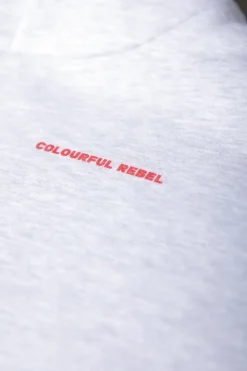 Sale National Champs Hoodie | Light grey melange Hoodies