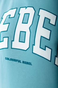 Hot Rebel Sweat | Mineral blue Truien