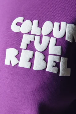 Hot Wave Logo Sweat | Violet Pink Truien