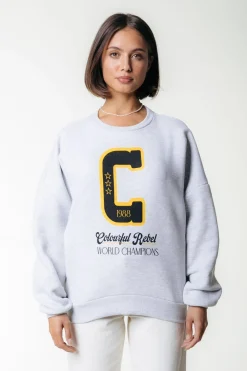 Online World Champions Sweat | Light grey melange Truien