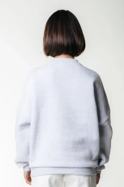 Online World Champions Sweat | Light grey melange Truien