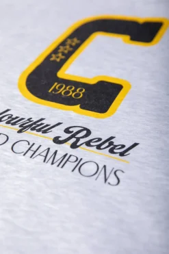 Online World Champions Sweat | Light grey melange Truien