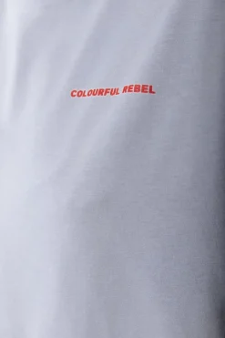 Online World Tour T-shirt | Light grey T-shirts